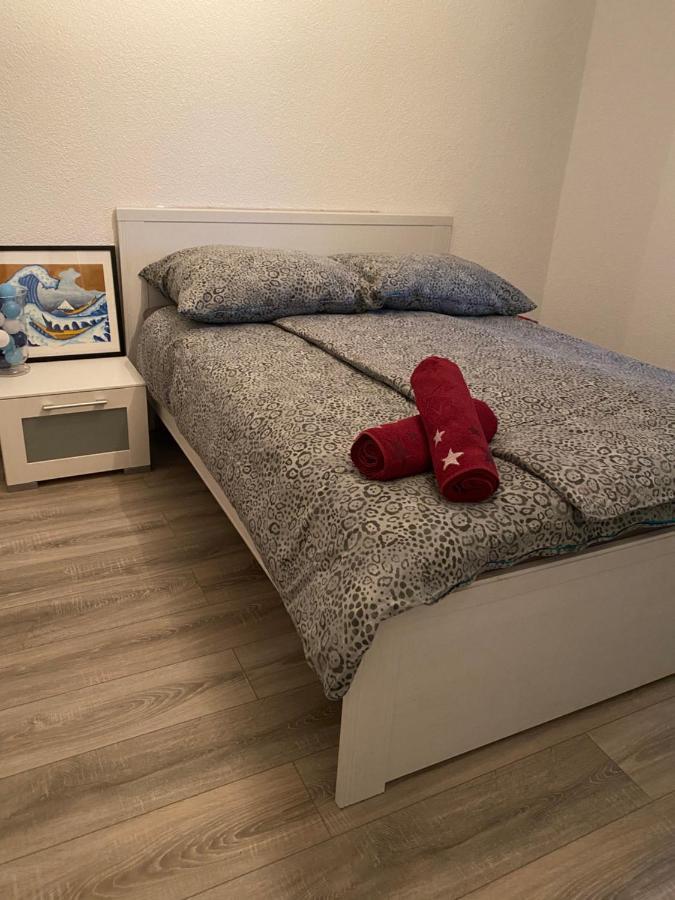 Fewo Dana Lejlighed Neckarsteinach Eksteriør billede