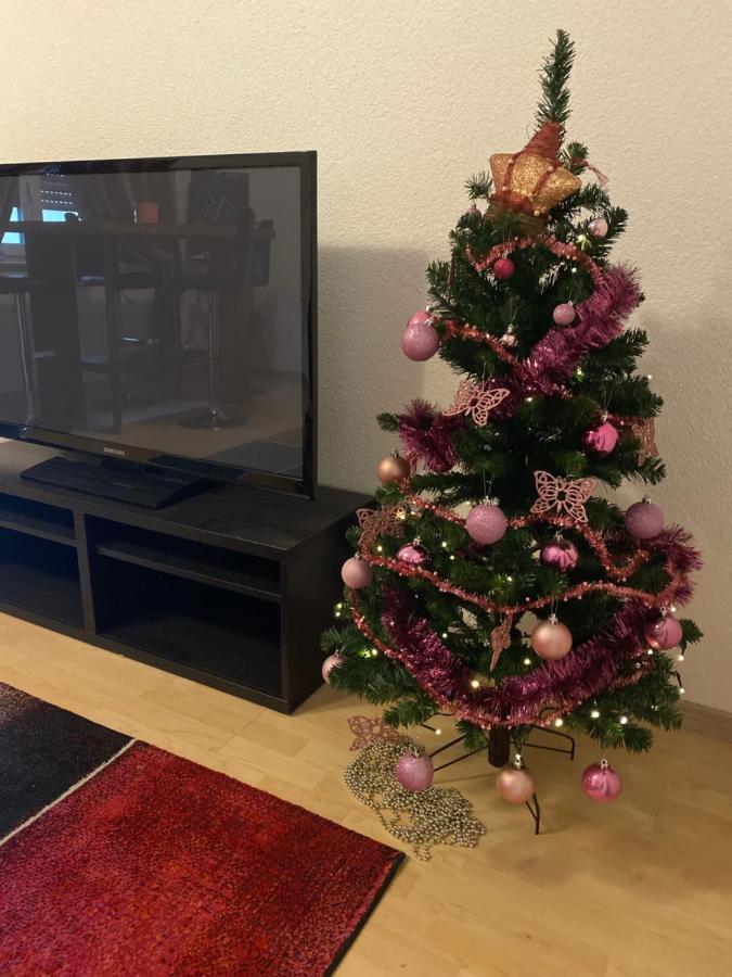 Fewo Dana Lejlighed Neckarsteinach Eksteriør billede